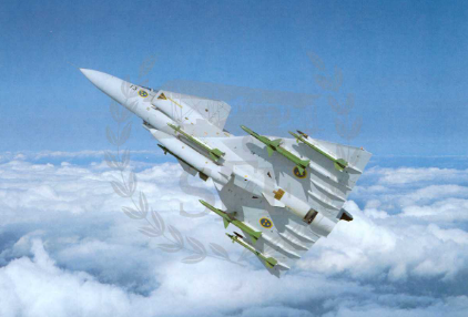 Viggen SFF