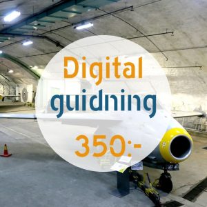 Digital guidning